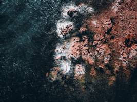 Antoine CZERWINSKI - ANTOINE CZERWINSKI